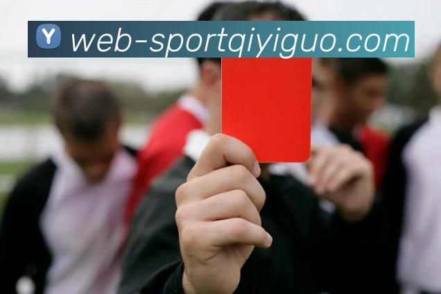 奇异果体育发展历程